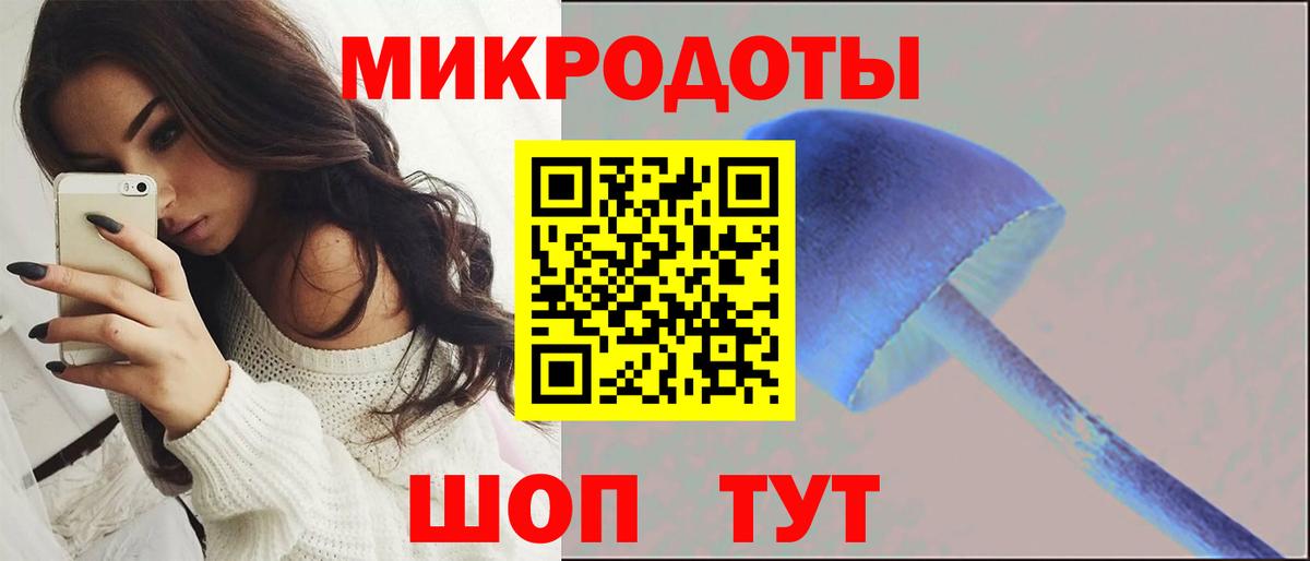 Ржев  Псилоцибиновые грибы Magic Shrooms  Псилоцибиновые грибы Magic Shrooms  Вход с VPN 