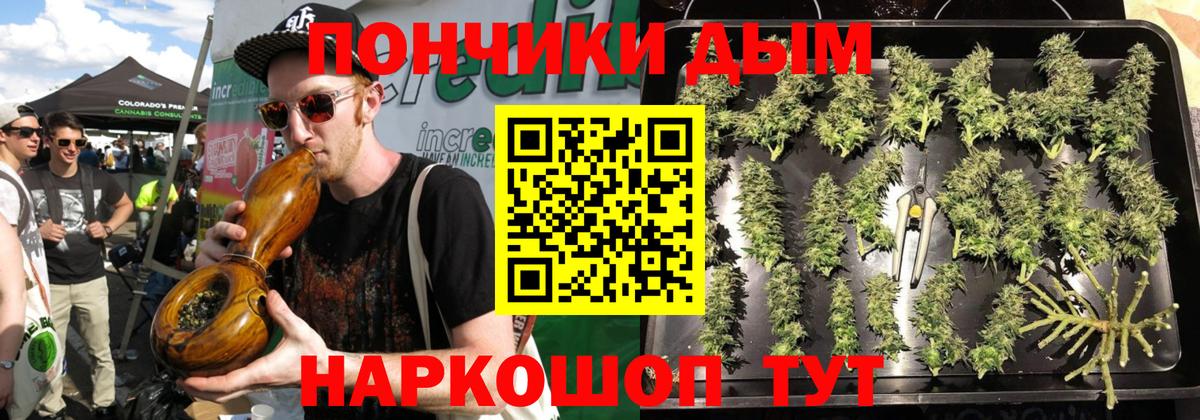 Бошки Шишки планчик  Вход с VPN  Ржев  Марихуана Ganja  Каннабис OG Kush 